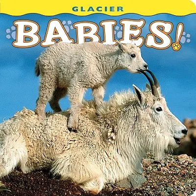 Bebés de los glaciares - Glacier Babies!