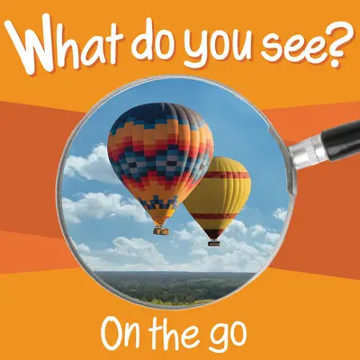 ¿Qué ves? Sobre la marcha - What Do You See: On the Go