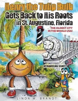 Henry, el bulbo de tulipán, vuelve a sus raíces en San Agustín, Florida - Henry the Tulip Bulb Gets Back to His Roots in St. Augustine, Florida