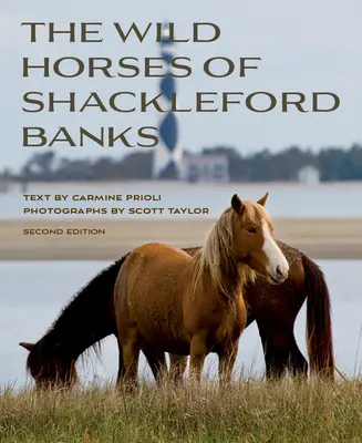 Los caballos salvajes de Shackleford Banks - Wild Horses of Shackleford Banks