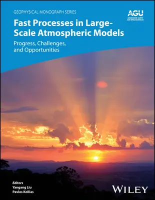 Procesos rápidos en modelos atmosféricos a gran escala: Progresos, retos y oportunidades - Fast Processes in Large-Scale Atmospheric Models: Progress, Challenges, and Opportunities