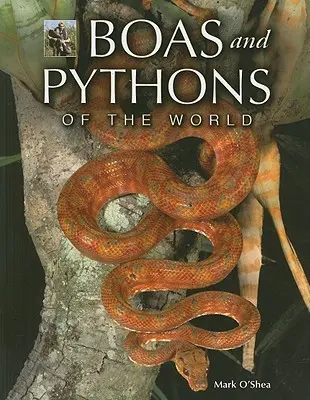 Boas y pitones del mundo - Boas and Pythons of the World