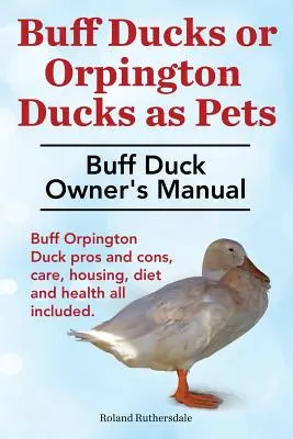 Patos Buff u Orpington Buff como Mascotas. Manual del propietario del pato buff. Ventajas y desventajas del pato Buff Orpington, cuidados, alojamiento, dieta y salud, todo incluido. - Buff Ducks or Buff Orpington Ducks as Pets. Buff Duck Owner's Manual. Buff Orpington Duck Pros and Cons, Care, Housing, Diet and Health All Included.