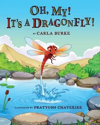 ¡Ay! ¡Es una libélula! Una historia sobre el ciclo vital de una libélula - Oh my! It's A dragonfly!: A story on the life cycle of a dragonfly