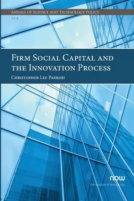 El capital social de la empresa y el proceso de innovación - Firm Social Capital and the Innovation Process