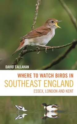 Dónde observar aves en el sureste de Inglaterra: Essex, Londres y Kent - Where to Watch Birds in Southeast England: Essex, London and Kent