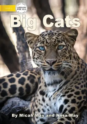 Grandes felinos - Big Cats