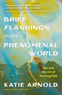 Breves flashes en el mundo fenomenal - Brief Flashings in the Phenomenal World