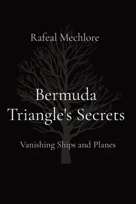 Secretos del Triángulo de las Bermudas: Barcos y aviones desaparecidos - Bermuda Triangle's Secrets: Vanishing Ships and Planes