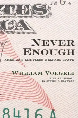 Nunca es suficiente: El ilimitado Estado del Bienestar en Estados Unidos - Never Enough: America's Limitless Welfare State
