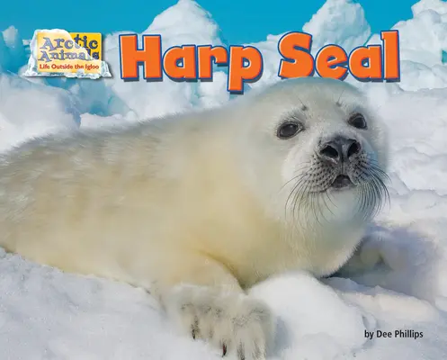 La foca arpa - Harp Seal