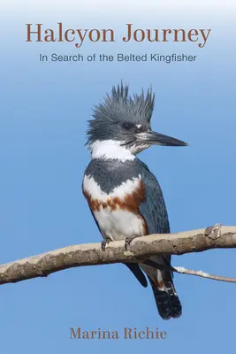 Viaje al cielo: En busca del martín pescador - Halcyon Journey: In Search of the Belted Kingfisher