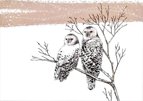 El perdón después del trauma - Snowy Owls Deluxe Boxed Holiday Cards
