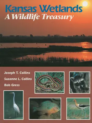 Humedales de Kansas: Un tesoro de vida salvaje - Kansas Wetlands: A Wildlife Treasury