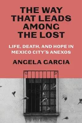 El camino que lleva entre los perdidos: Vida, muerte y esperanza en los anexos de Ciudad de México - The Way That Leads Among the Lost: Life, Death, and Hope in Mexico City's Anexos