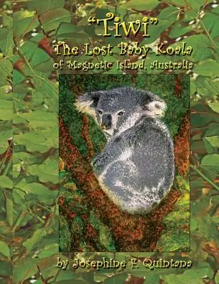 Tiwi, el bebé koala perdido de Magnetic Island, Australia - Tiwi, the Lost Baby Koala of Magnetic Island, Australia