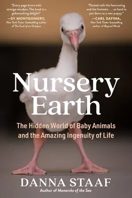 Guardería Tierra: El mundo oculto de los bebés y el asombroso ingenio de la vida - Nursery Earth: The Hidden World of Baby Animals and the Amazing Ingenuity of Life