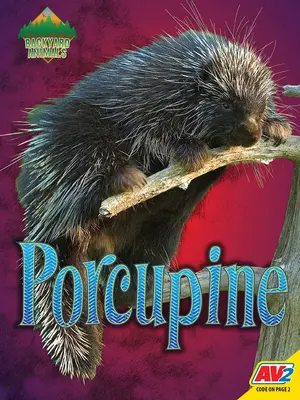 Puercoespín - Porcupine