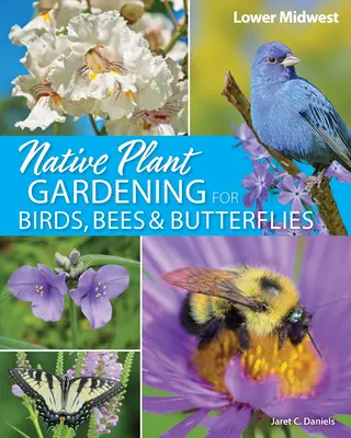 Jardinería con plantas autóctonas para aves, abejas y mariposas: Lower Midwest - Native Plant Gardening for Birds, Bees & Butterflies: Lower Midwest