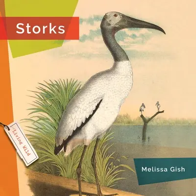 Cigüeñas - Storks