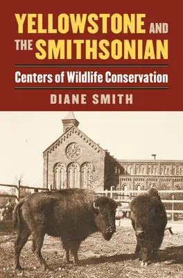 Yellowstone y las motos de nieve: El conflicto sobre el uso de los parques nacionales - Yellowstone and the Snowmobile: Locking Horns over National Park Use