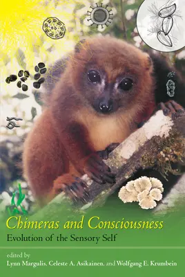 Quimeras y conciencia: Evolución del yo sensorial - Chimeras and Consciousness: Evolution of the Sensory Self