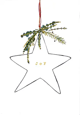 Tarjetas de Navidad en Caja Pequeña Shining Star - Shining Star Small Boxed Holiday Cards
