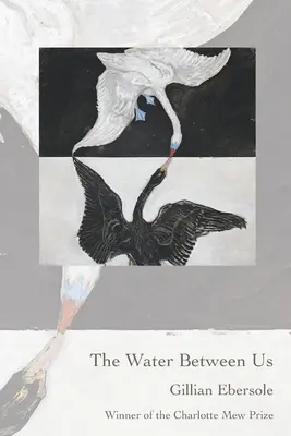 El agua entre nosotros - The Water Between Us