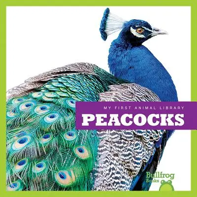 Pavos reales - Peacocks