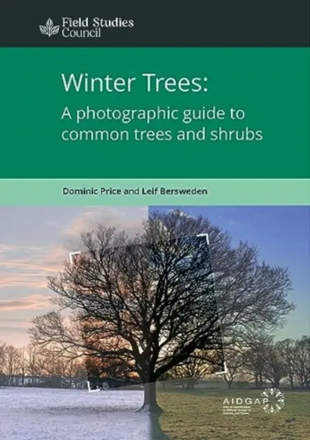 Árboles de invierno: guía fotográfica de árboles y arbustos comunes - Winter Trees: a Photographic Guide to Common Trees and Shrubs