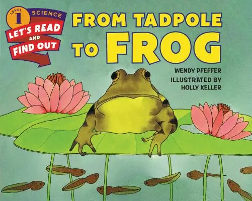 De renacuajo a rana - From Tadpole to Frog