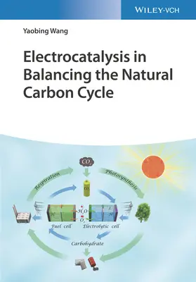 La electrocatálisis en el equilibrio del ciclo natural del carbono - Electrocatalysis in Balancing the Natural Carbon Cycle
