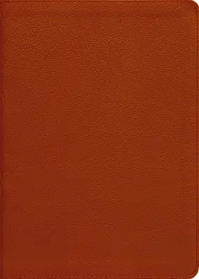 Esv, Biblia de consulta Thompson con cadena, cuero genuino, piel de becerro, color canela, letra roja - Esv, Thompson Chain-Reference Bible, Genuine Leather, Calfskin, Tan, Red Letter