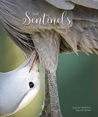 Los Centinelas: Grullas de Sudáfrica - The Sentinels: Cranes of South Africa