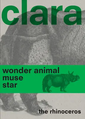 Clara, la rinoceronte - Clara the Rhinoceros