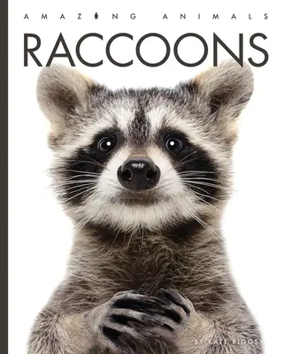 Mapaches - Raccoons