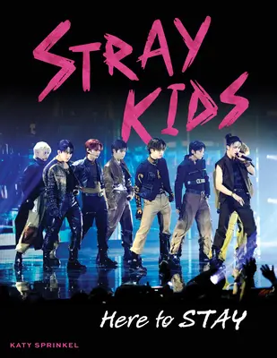 Stray Kids: aquí para quedarse - Stray Kids: Here to Stay