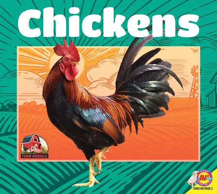 Pollos - Chickens