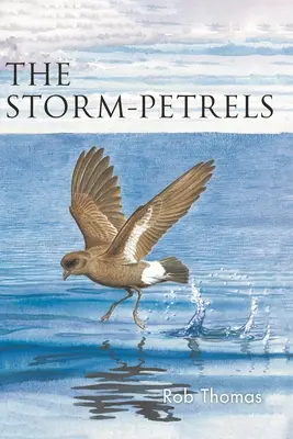 Paíños - Storm-Petrels