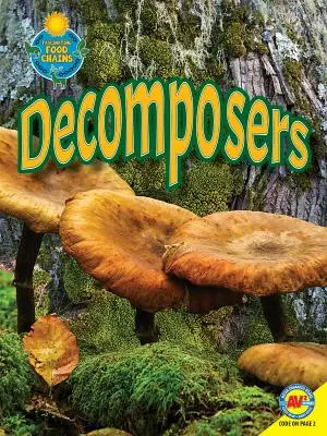 Descomponedores - Decomposers