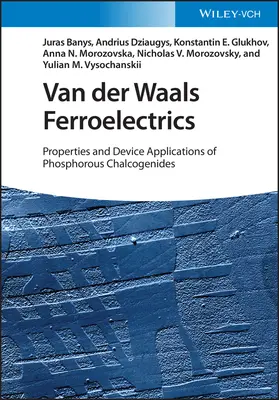 Ferroeléctricos de Van der Waals - Van der Waals Ferroelectrics