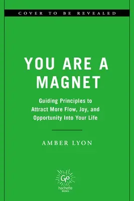 Eres un imán: Principios rectores para una vida magnética y alegre - You Are a Magnet: Guiding Principles for a Magnetic and Joyful Life