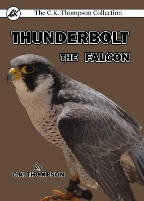 El halcón del rayo - Thunderbolt the Falcon