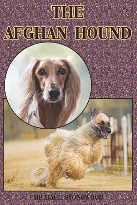El sabueso afgano: Guía completa para principiantes: Compra, Tenencia, Salud, Aseo, Adiestramiento, Obediencia, Comprensión - The Afghan Hound: A Complete and Comprehensive Beginners Guide To: Buying, Owning, Health, Grooming, Training, Obedience, Understanding