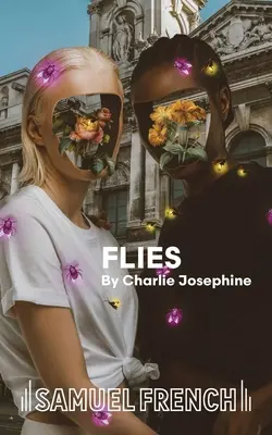 Moscas - Flies