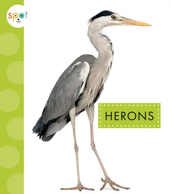 Garzas - Herons