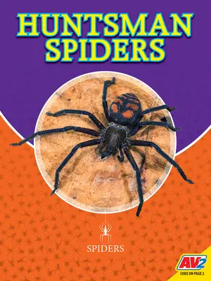 Arañas Huntsman - Huntsman Spiders