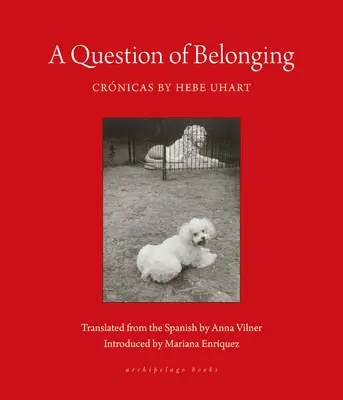 Una cuestión de pertenencia: Crnicas - A Question of Belonging: Crnicas