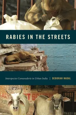 Rabia en las calles: Camaradería entre especies en la India urbana - Rabies in the Streets: Interspecies Camaraderie in Urban India