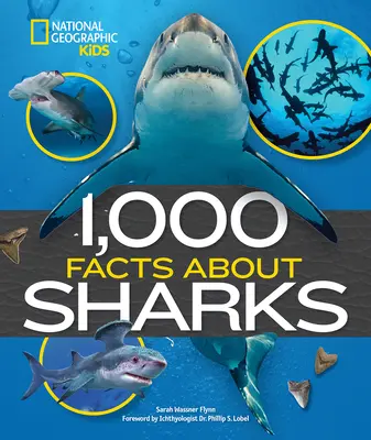 1.000 datos sobre tiburones - 1,000 Facts about Sharks